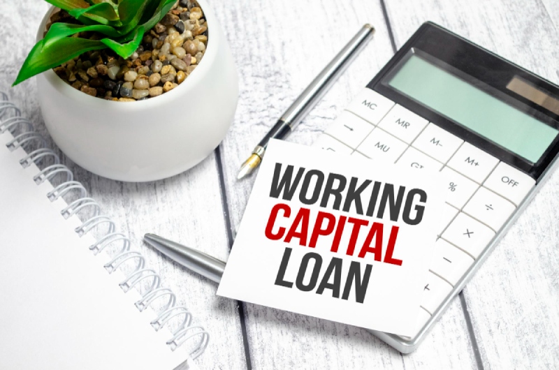 term-loan-vs-working-capital-loan