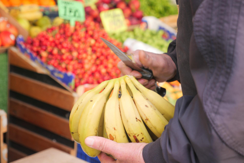 grocery-store-funding